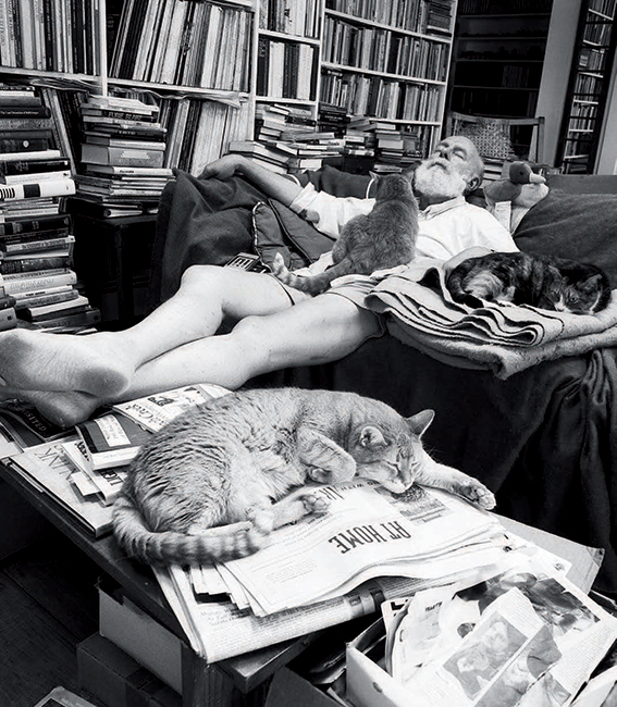 Edward Gorey asleep with cats