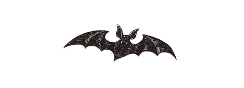 Bat