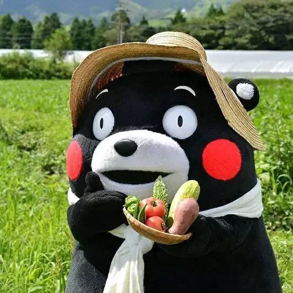 Kumamon
